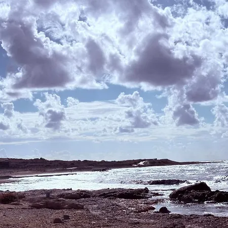 Shack Paphos